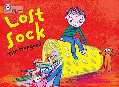The Lost Sock [Paperback]