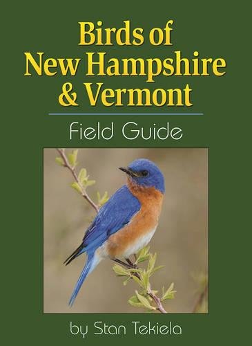 Birds of New Hampshire &amp Vermont Field Guide [Paperback]