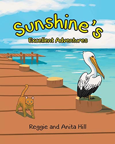 Sunshine's Excellent Adventures [Paperback]