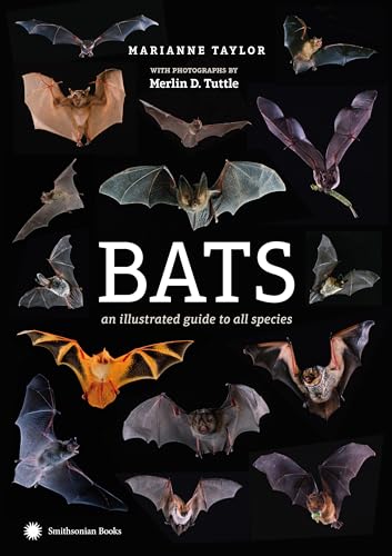 Bats An Illustrated Guide to All Species [Hardcover]