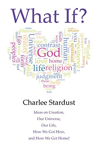 What If Ideas On Creation, Our Universe, Our Life, How We Got Here, And How We [Paperback]