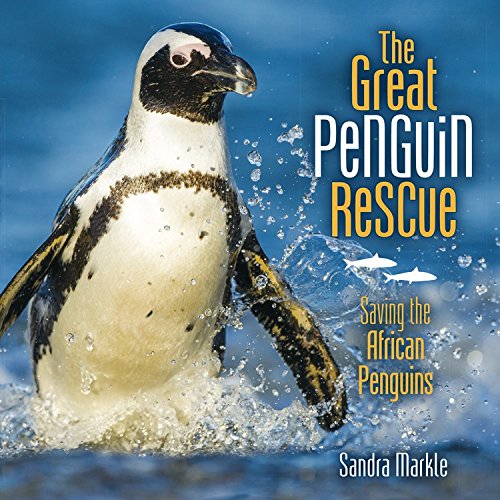 The Great Penguin Rescue Saving The African Penguins [Library Binding]