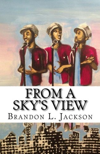 From A Sky's View [Paperback]