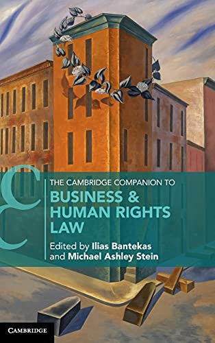 The Cambridge Companion to Business and Human Rights Law [Hardcover]