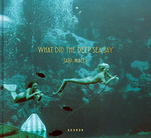 What Did the Deep Sea Say [Hardcover]