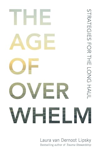 The Age of Overwhelm Strategies for the Long Haul [Paperback]