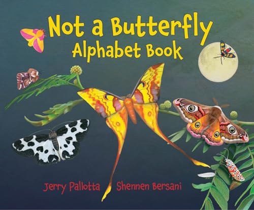 Not a Butterfly Alphabet Book It's About Time Moths Had Their Own Book [Hardcover]