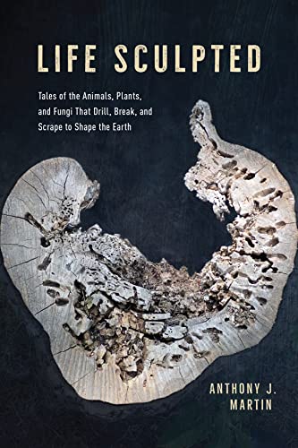 Life Sculpted Tales of the Animals, Plants, and Fungi That Drill, Break, and Sc [Hardcover]