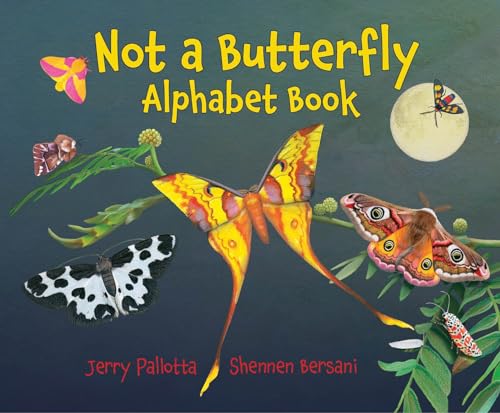 Not a Butterfly Alphabet Book It's About Time Moths Had Their Own Book [Paperback]