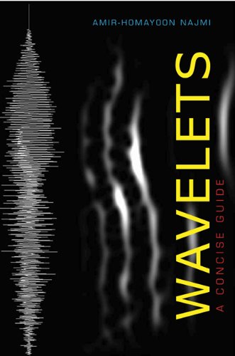 Wavelets A Concise Guide [Hardcover]