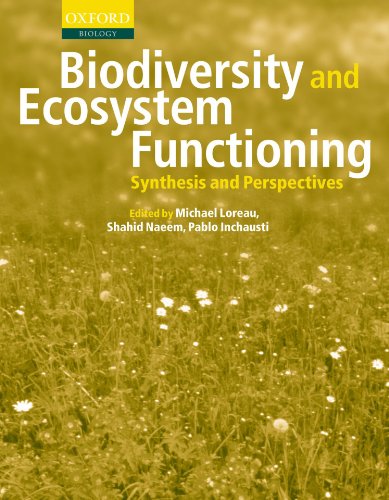 Biodiversity and Ecosystem Functioning Synthesis and Perspectives [Paperback]