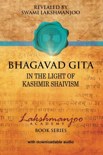 Bhagavad Gita In The Light Of Kashmir Shaivism [Paperback]