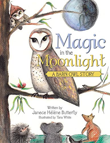 Magic In The Moonlight A Barn Owl Story [Paperback]