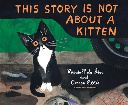 This Story Is Not About a Kitten [Hardcover]