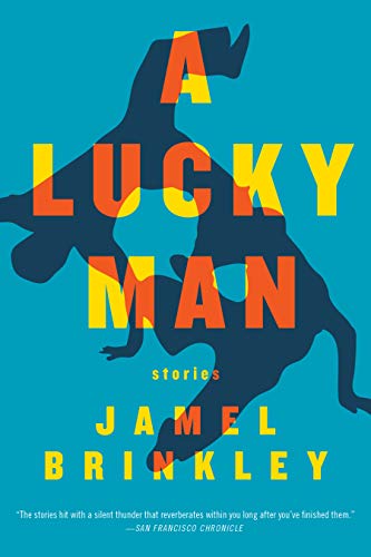 A Lucky Man Stories [Paperback]