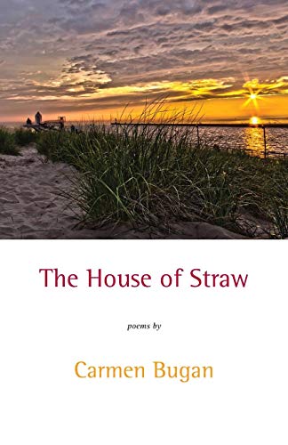 The House Of Straw [Paperback]