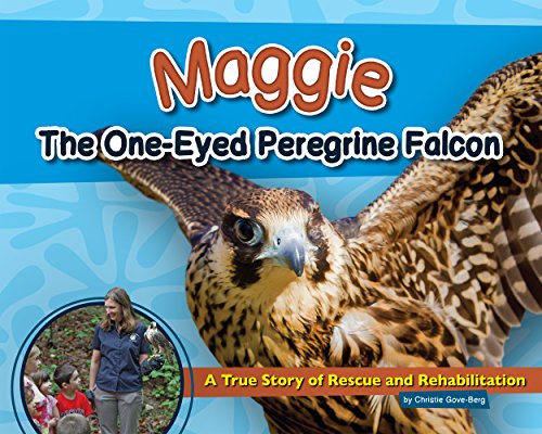 Maggie the One-Eyed Peregrine Falcon A True Story of Rescue and Rehabilitation [Hardcover]