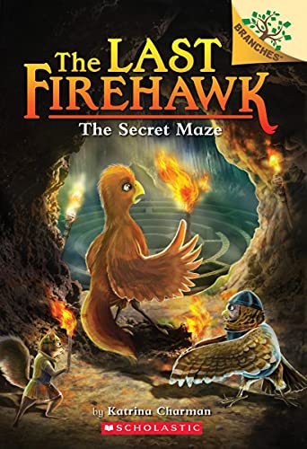 The Secret Maze A Branches Book (The Last Firehawk 10) [Paperback]