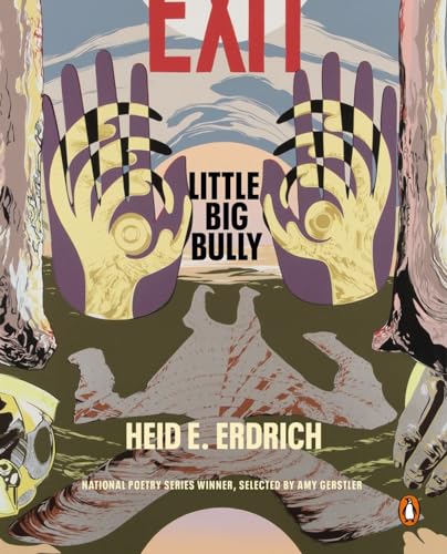Little Big Bully [Paperback]