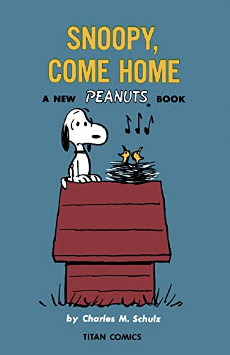 Peanuts Sunday's Fun Day, Charlie Brown [Paperback]