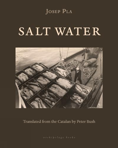 Salt Water [Paperback]
