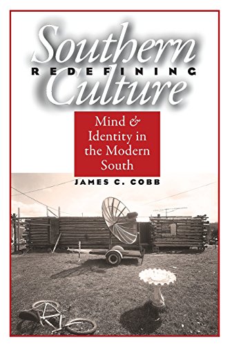 Redefining Southern Culture Mind and Identity in the Modern South [Paperback]