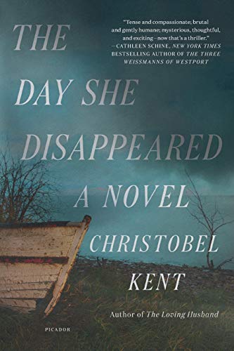 The Day She Disappeared A Novel [Paperback]