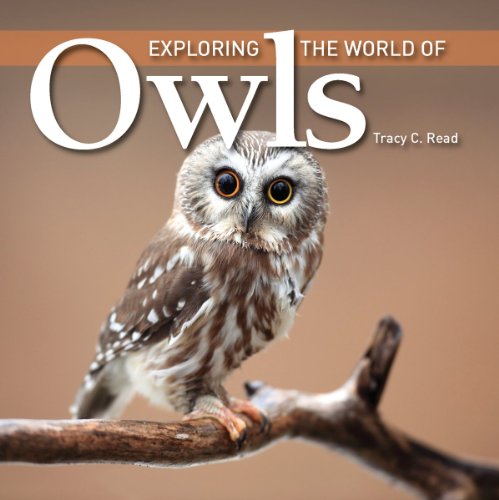 Exploring The World Of Owls [Paperback]