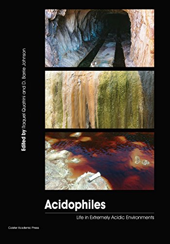 Acidophiles Life In Extremely Acidic Environments [Paperback]