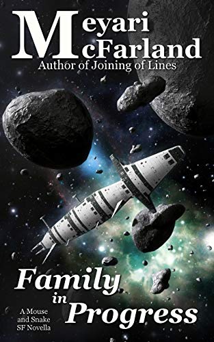 Family in Progress [Paperback]