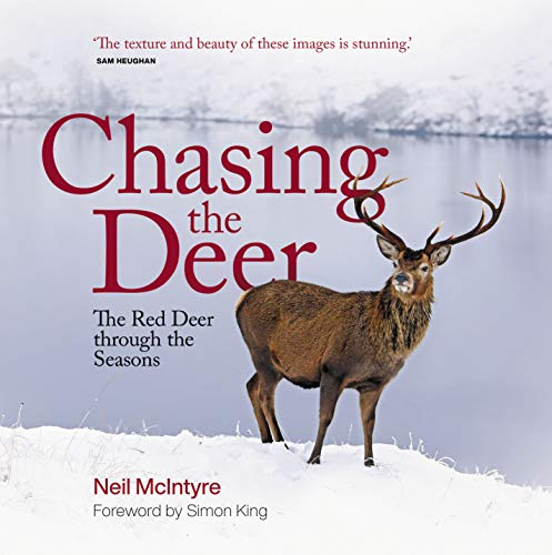 Chasing the Deer The Red Deer Through the Seasons [Hardcover]