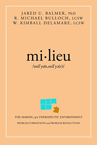 mi lieu The Making of a Therapeutic Environment [Paperback]