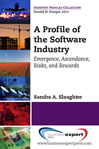 A Profile Of The Software Industry Emergence, Ascendance, Risks, And Rewards [Paperback]