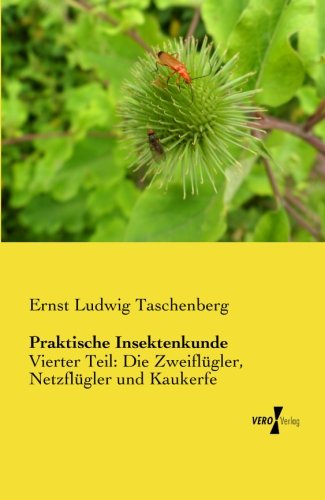 Praktische Insektenkunde [Paperback]
