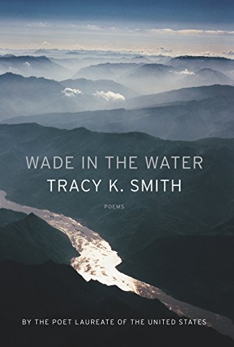 Wade in the Water Poems [Paperback]