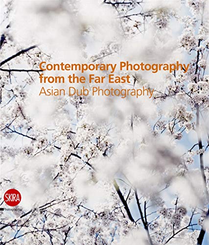 Contemporary Photography from the Far East Asian Dub Photography [Hardcover]