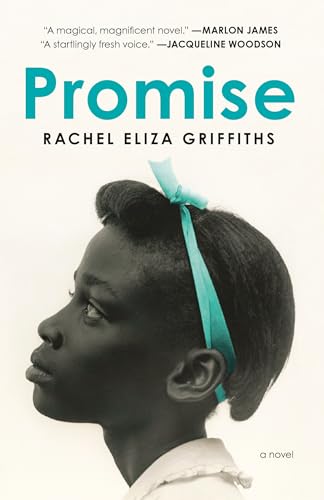 Promise A Novel [Paperback]