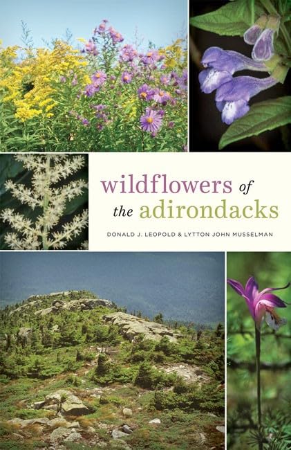 WILDFLOWERS OF THE ADIRONDACKS [Paperback]
