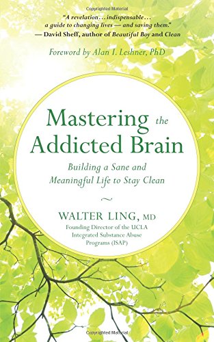 Mastering The Addicted Brain Building A Sane And Meaningful Life To Stay Clean [Paperback]