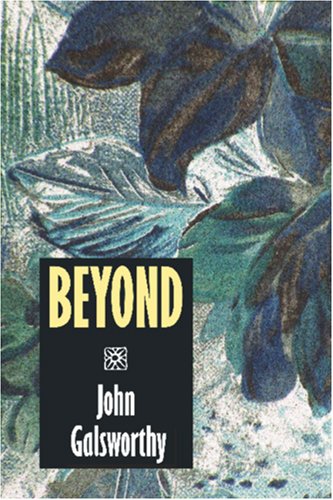 Beyond [Paperback]
