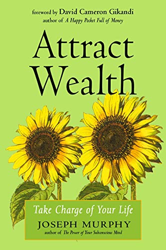 Attract Wealth Take Charge of Your Life [Paperback]