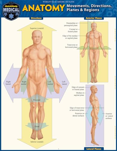 Anatomy - Directions, Planes, Movements &amp Regions a QuickStudy Laminated Re [Fold-out book or cha]