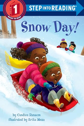 Snow Day [Paperback]
