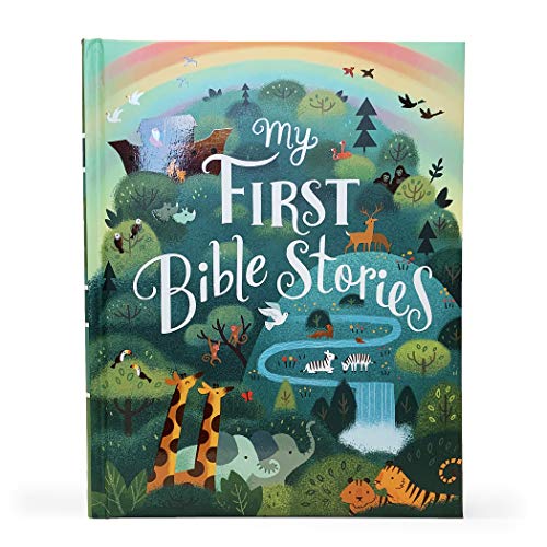 My First Bible Stories [Hardcover]