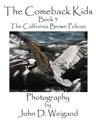 The Comeback Kids, Book 3, The California Brown Pelican [Hardcover]
