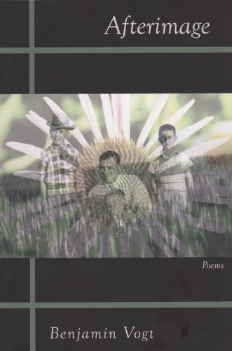 Afterimage [Paperback]