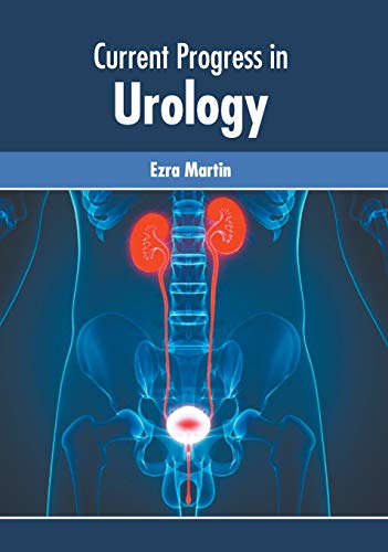 Current Progress in Urology [Hardcover]