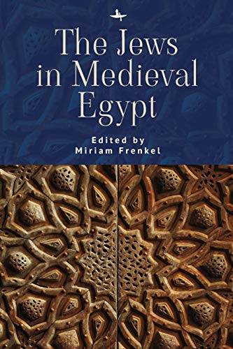 The Jews in Medieval Egypt [Paperback]