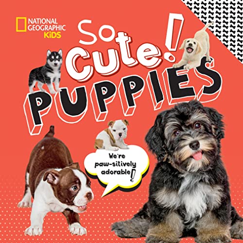 So Cute Puppies [Hardcover]