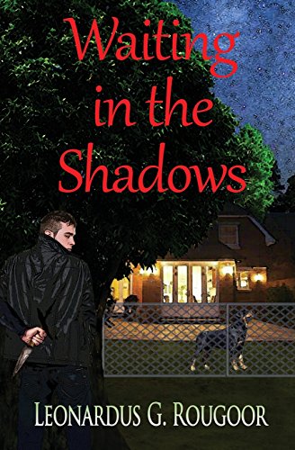 Waiting In The Shadows [Paperback]